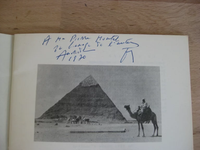 Non aux volcans, oui à la paix - Félix Léon Non aux volcans, oui à la paix - Félix Léon