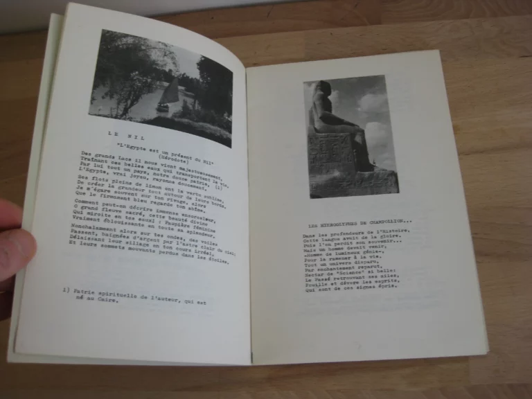 Non aux volcans, oui à la paix - Félix Léon Non aux volcans, oui à la paix - Félix Léon