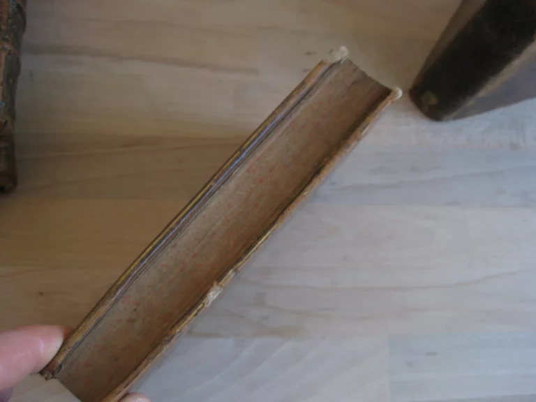 Sermons. Carême (2 tomes) - Avent - Panégyriques