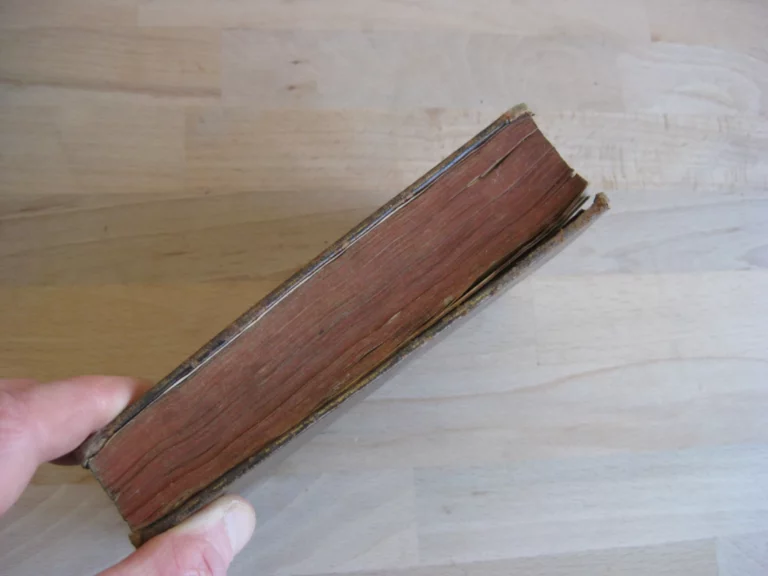 Sermons. Carême (2 tomes) - Avent - Panégyriques