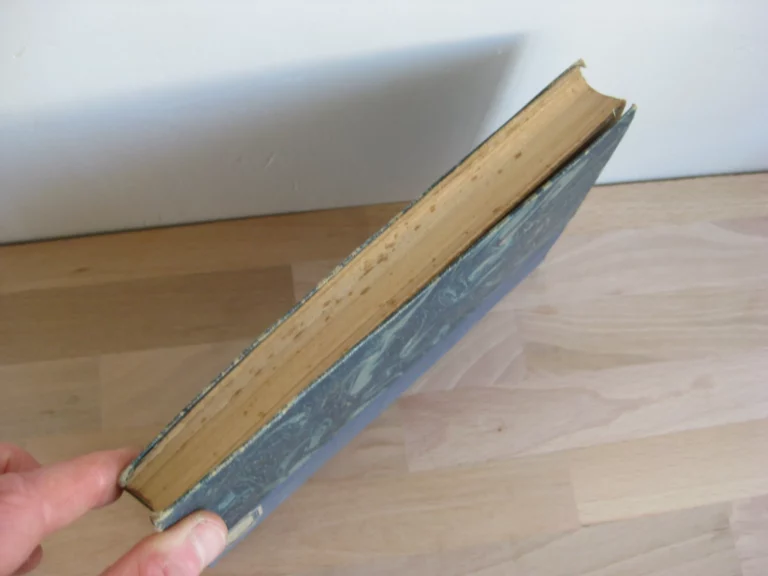 Toul pendant la Révolution. - Albert Denis