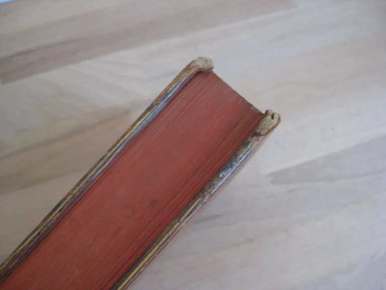 Traité de la théorie et pratique des accouchements, Tome 1