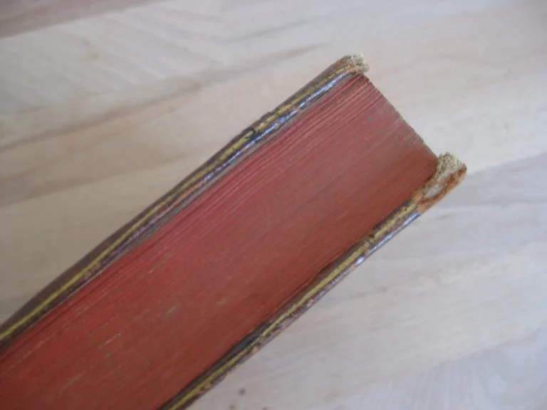 Traité de la théorie et pratique des accouchements, Tome 1