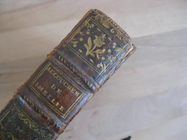 Traité de la théorie et pratique des accouchements, Tome 1