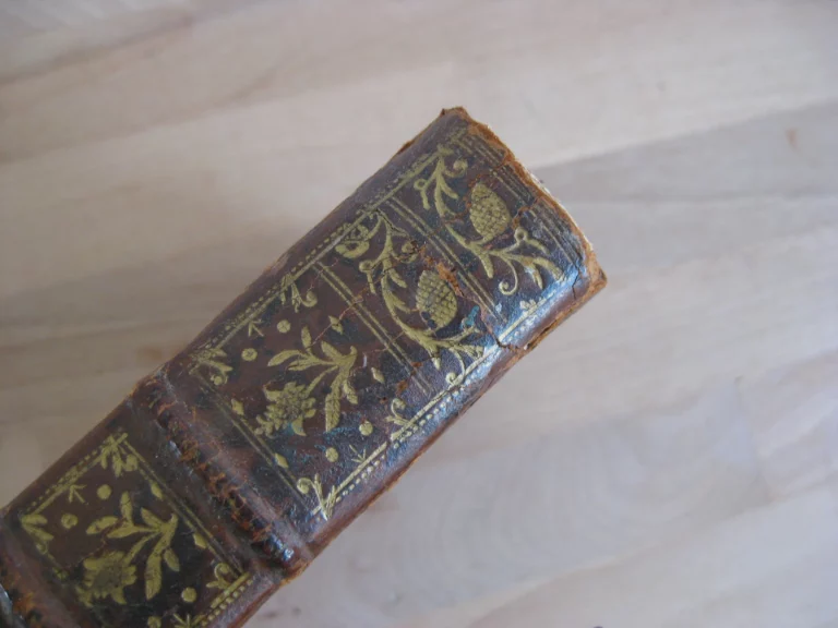 Traité de la théorie et pratique des accouchements, Tome 1