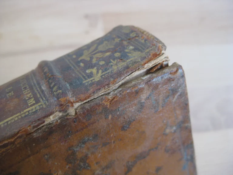 Traité de la théorie et pratique des accouchements, Tome 1