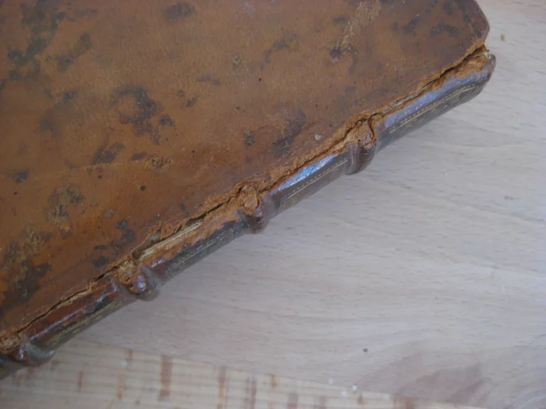 Traité de la théorie et pratique des accouchements, Tome 1