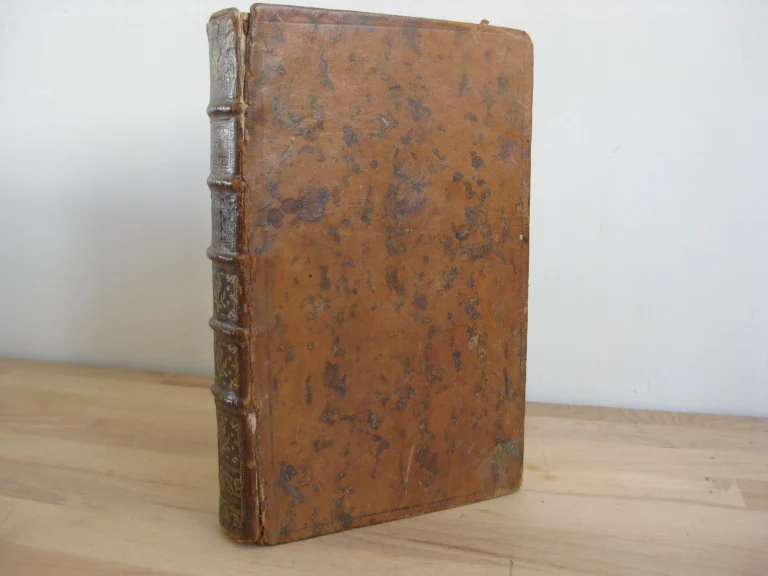 Traité de la théorie et pratique des accouchements, Tome 1