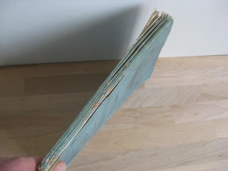 Troubles d’Arras, 1577-1578. Tome second.