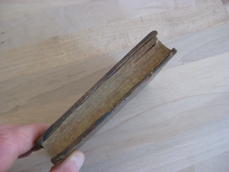 Visions de dom Francisco de Quevedo Villegas Visions de dom Francisco de Quevedo Villegas