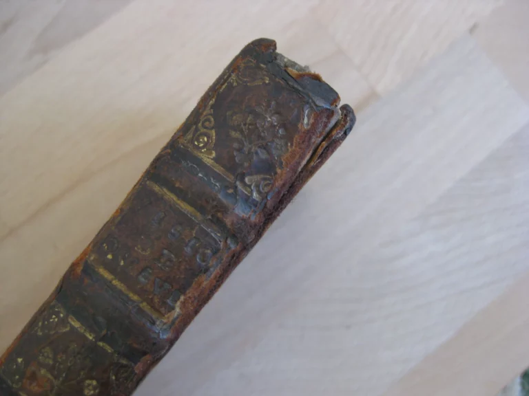 Visions de dom Francisco de Quevedo Villegas Visions de dom Francisco de Quevedo Villegas