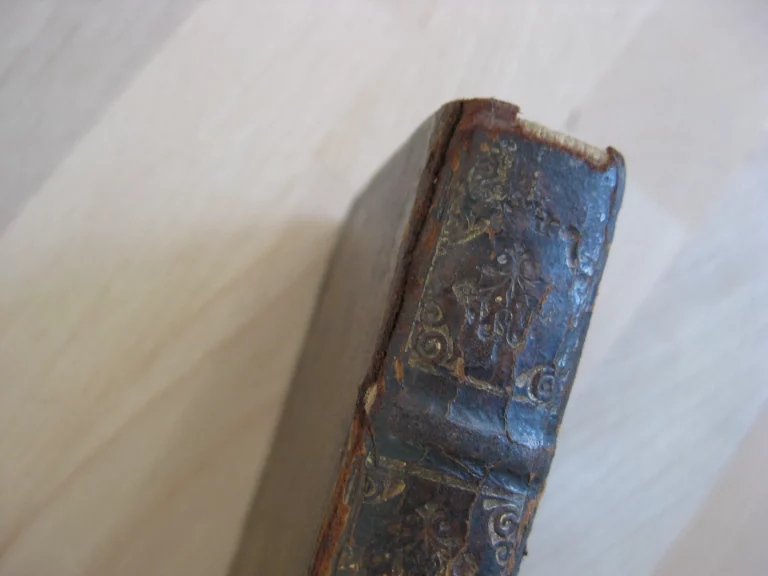 Visions de dom Francisco de Quevedo Villegas Visions de dom Francisco de Quevedo Villegas