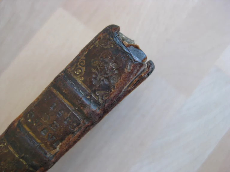 Visions de dom Francisco de Quevedo Villegas Visions de dom Francisco de Quevedo Villegas