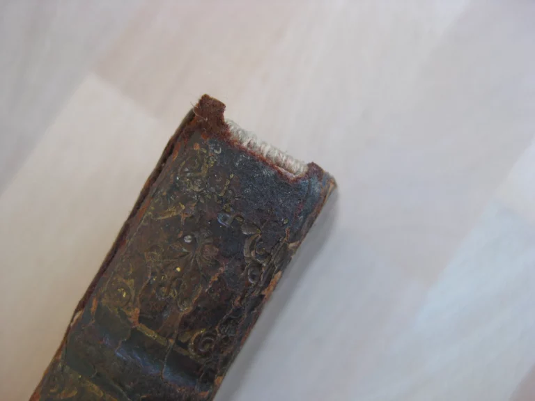 Visions de dom Francisco de Quevedo Villegas Visions de dom Francisco de Quevedo Villegas