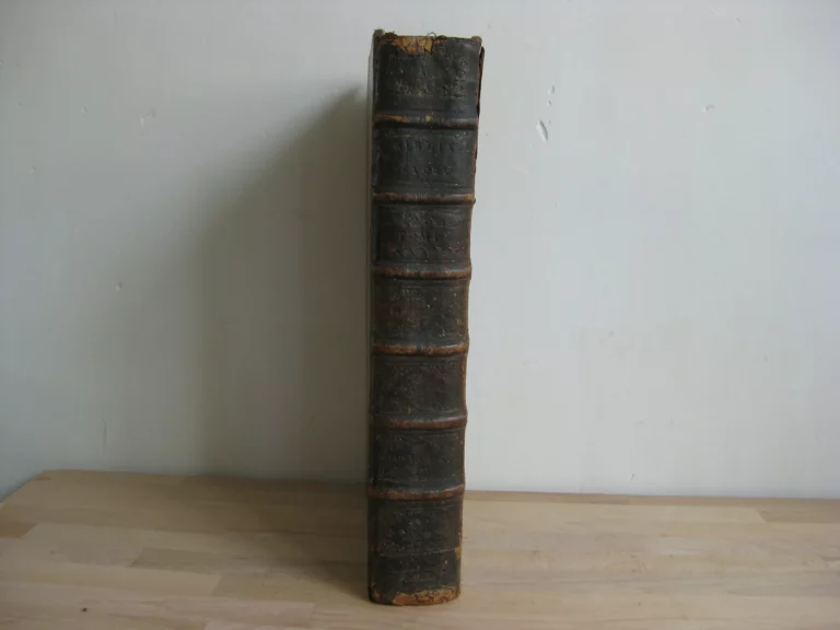 Biblia sacra latino-germanica oder Latin- Deutsche Bibel