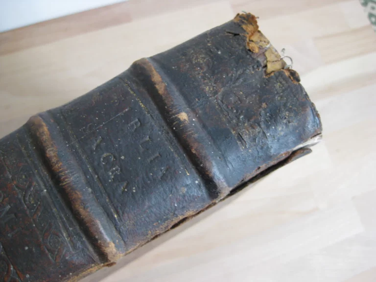 Biblia sacra latino-germanica oder Latin- Deutsche Bibel