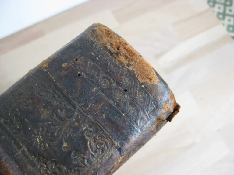 Biblia sacra latino-germanica oder Latin- Deutsche Bibel