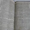 Biblia sacra latino-germanica oder Latin- Deutsche Bibel