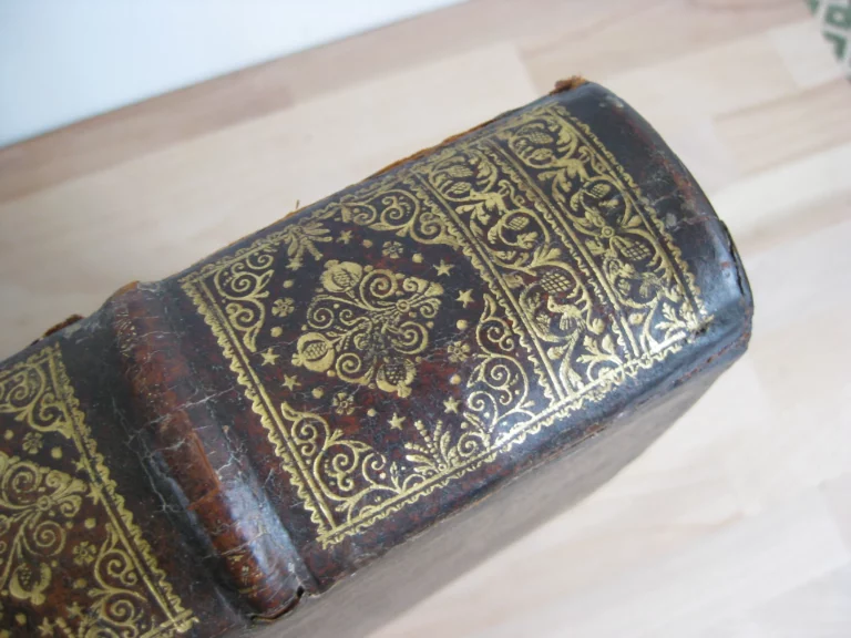 Biblia sacra. Vulgatae Editionis Sixti V et Clementis VIII