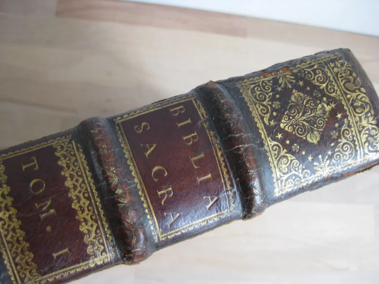 Biblia sacra. Vulgatae Editionis Sixti V et Clementis VIII