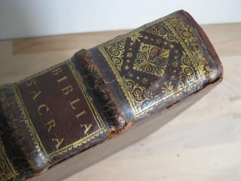 Biblia sacra. Vulgatae Editionis Sixti V et Clementis VIII