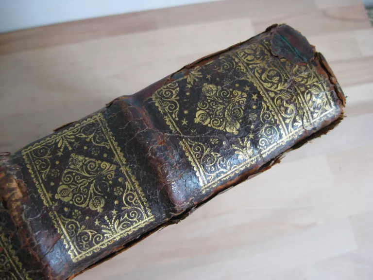 Biblia sacra. Vulgatae Editionis Sixti V et Clementis VIII