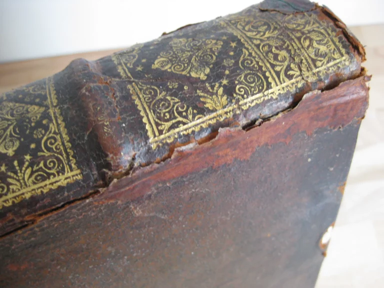 Biblia sacra. Vulgatae Editionis Sixti V et Clementis VIII