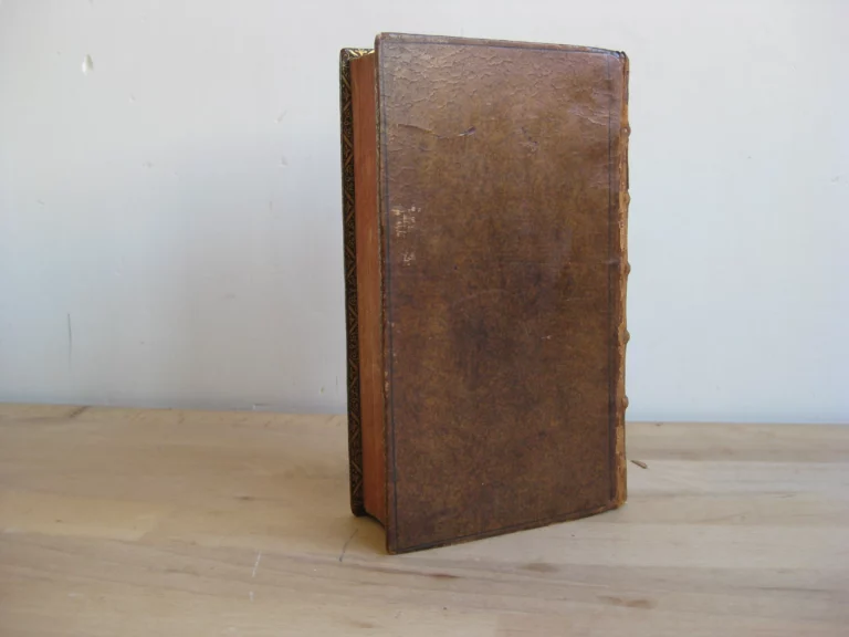 Du renversement des libertez de l'eglise gallicane, Tome second