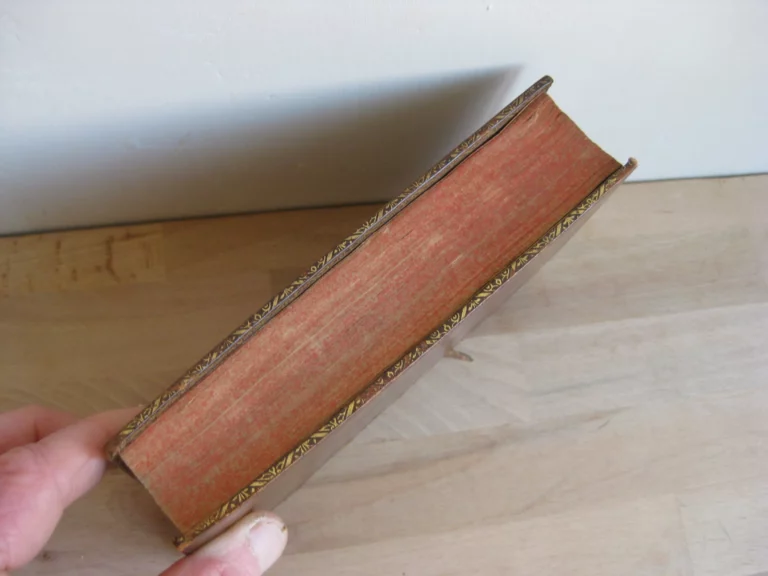 Du renversement des libertez de l'eglise gallicane, Tome second