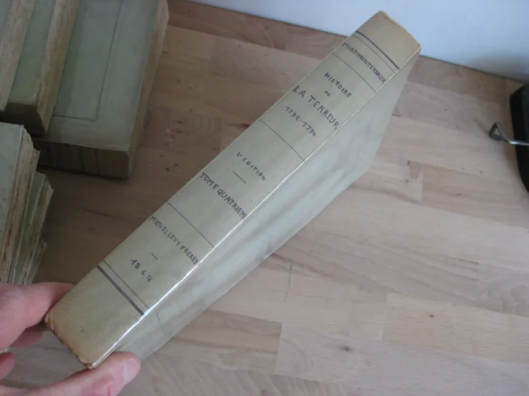 Histoire de la Terreur. Tomes I à VII (sur 8) - Mortimer-Ternaux