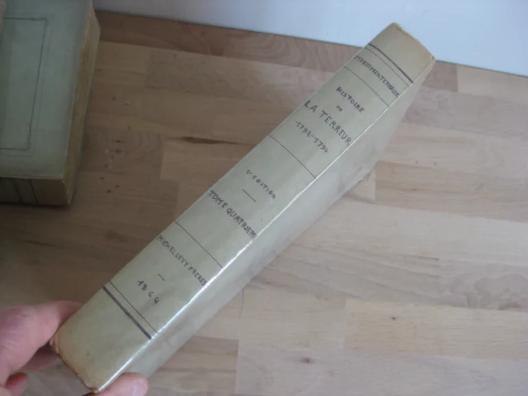 Histoire de la Terreur. Tomes I à VII (sur 8) - Mortimer-Ternaux