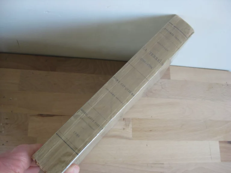 Histoire de la Terreur. Tomes I à VII (sur 8) - Mortimer-Ternaux