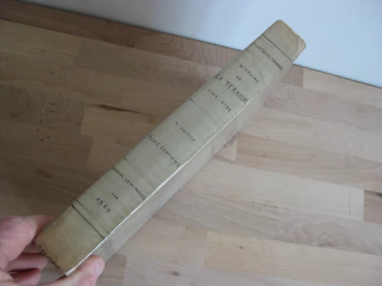 Histoire de la Terreur. Tomes I à VII (sur 8) - Mortimer-Ternaux