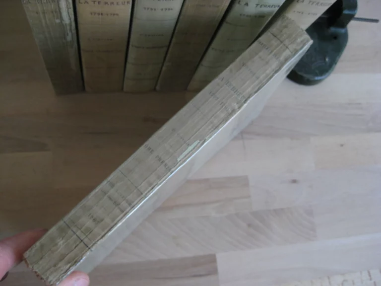 Histoire de la Terreur. Tomes I à VII (sur 8) - Mortimer-Ternaux