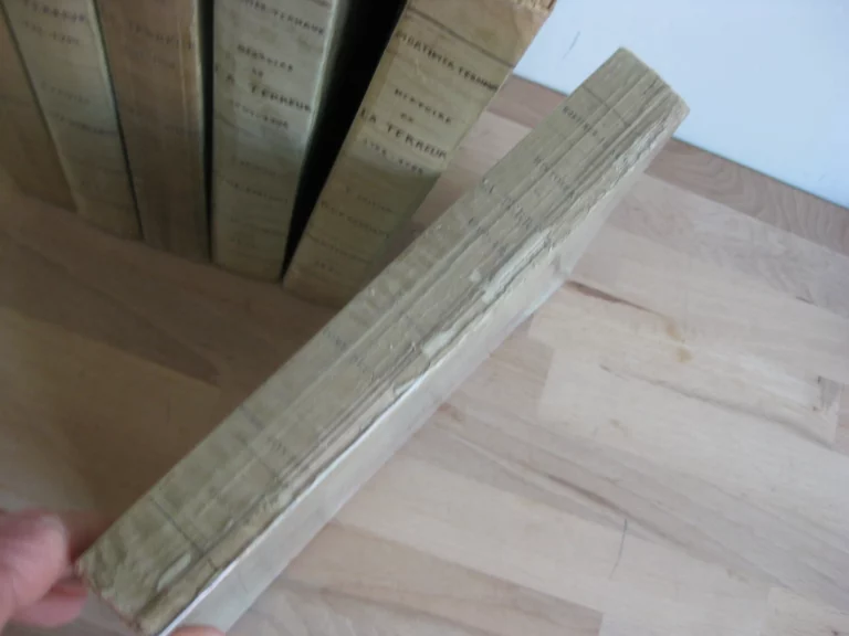 Histoire de la Terreur. Tomes I à VII (sur 8) - Mortimer-Ternaux