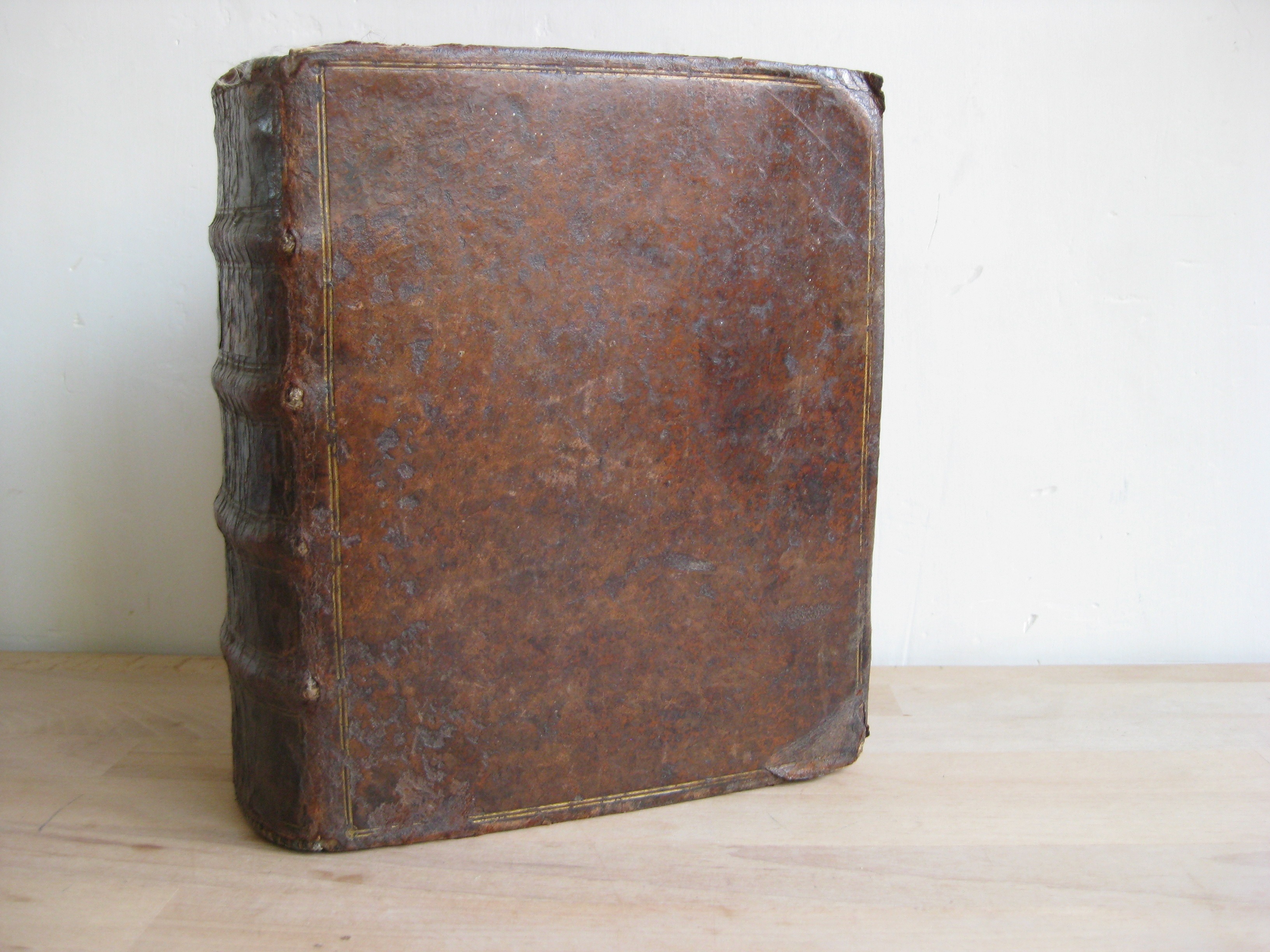 Institutionum medicinae. Libri V