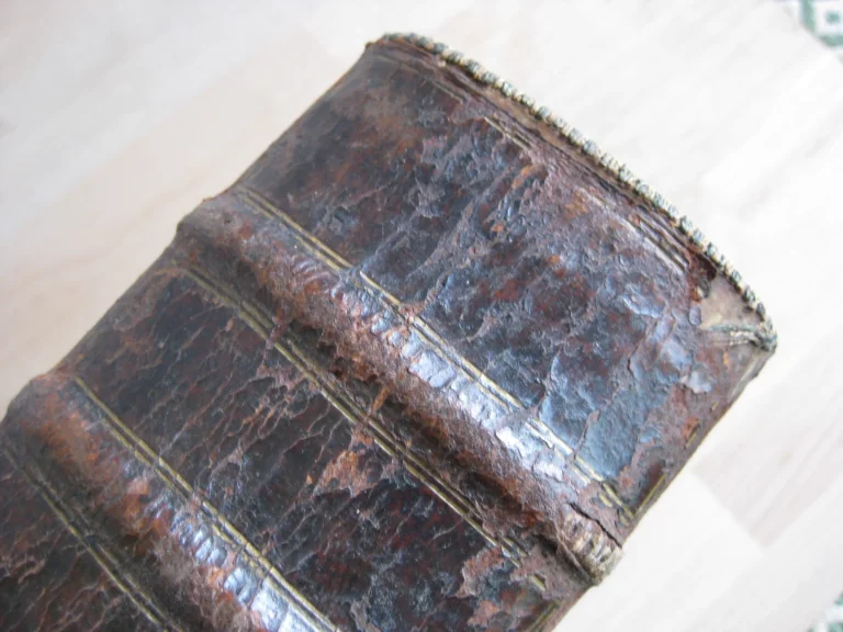 Institutionum medicinae. Libri V Institutionum medicinae. Libri V