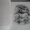 Le cheval et l’image - Jean de la Varende