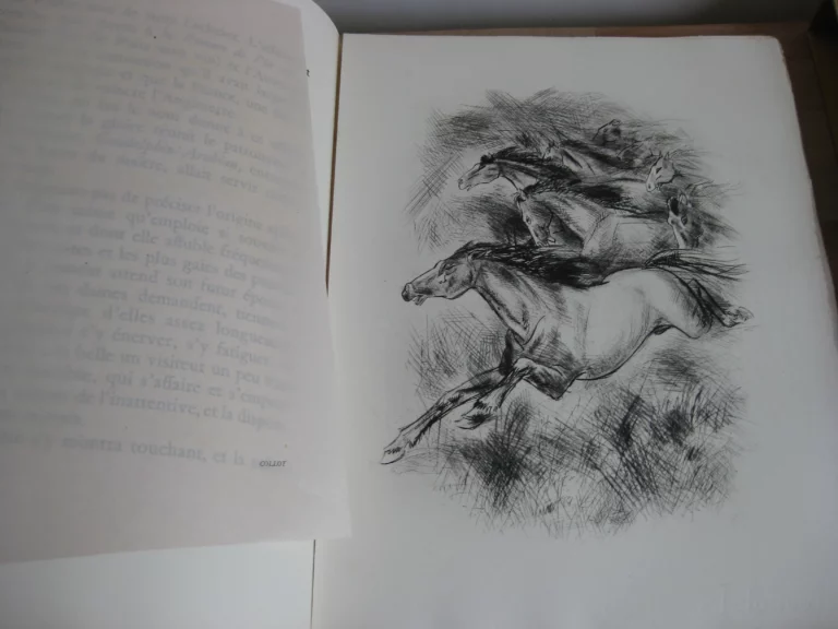 Le cheval et l’image - Jean de la Varende