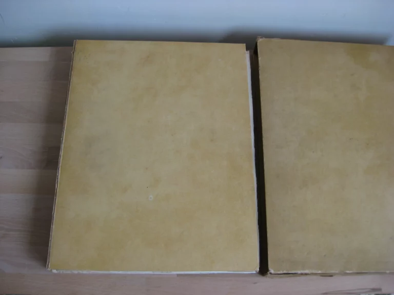 Le cheval et l’image - Jean de la Varende