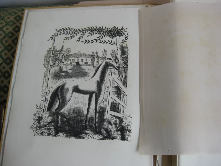 Le cheval et l’image - Jean de la Varende