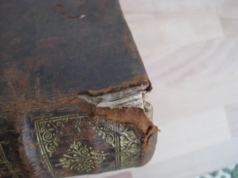 Le vray trésor de la doctrine chrétienne - Nicolas Turlot Le vray trésor de la doctrine chrétienne - Nicolas Turlot