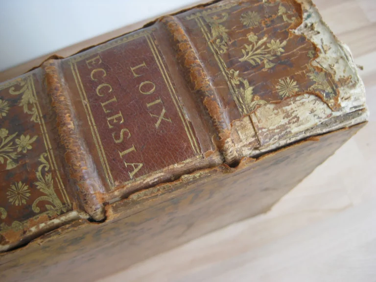 Les loix ecclésiastiques de France dans leur ordre naturel Les loix ecclésiastiques de France dans leur ordre naturel