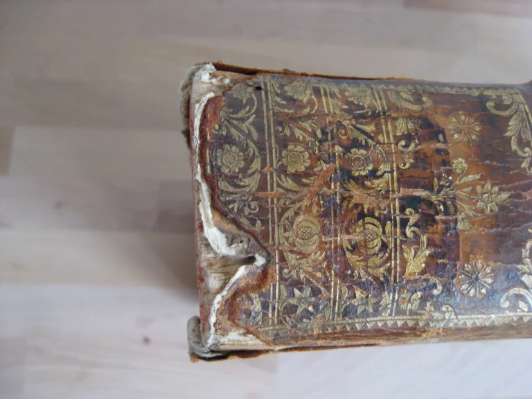 Les loix ecclésiastiques de France dans leur ordre naturel Les loix ecclésiastiques de France dans leur ordre naturel