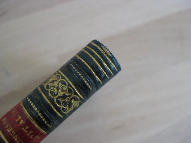 Princesse d’Italie - Jean Lorrain Princesse d’Italie - Jean Lorrain