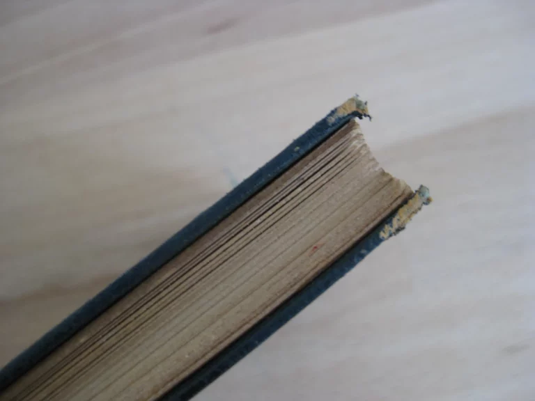 Princesse d’Italie - Jean Lorrain Princesse d’Italie - Jean Lorrain