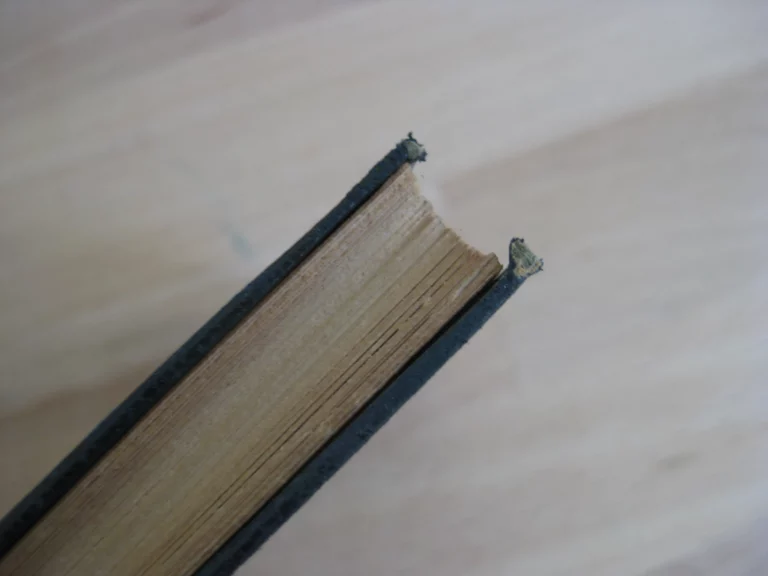 Princesse d’Italie - Jean Lorrain Princesse d’Italie - Jean Lorrain