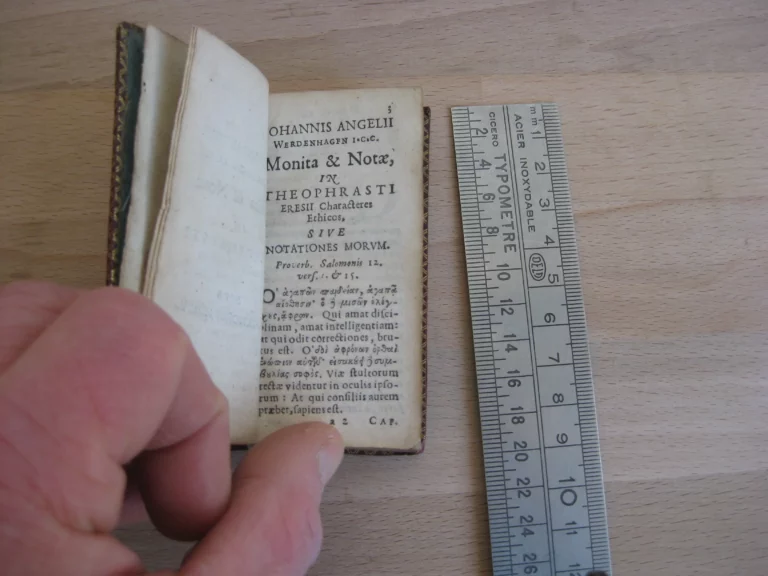 Theophrasti, Eresii characteres ethicos - Miniature Theophrasti, Eresii characteres ethicos - Miniature