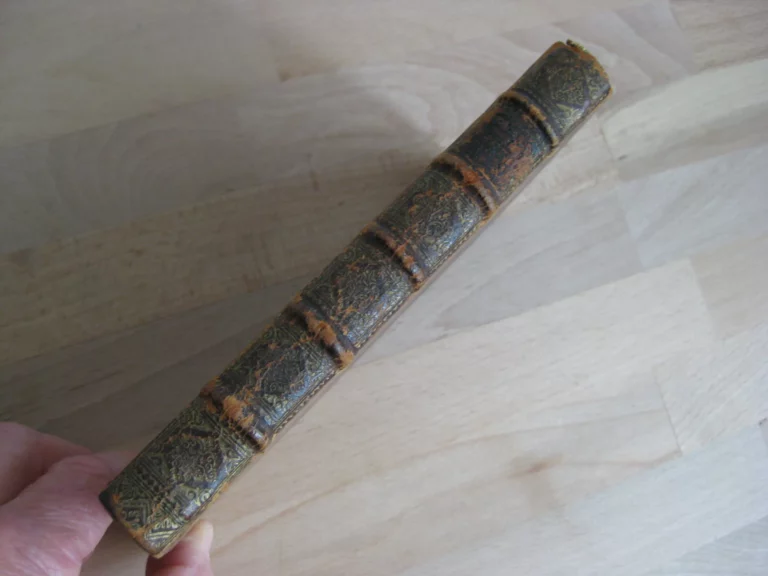 Adeisidaemon sive titus livius a vsuperstitione vindicatus Adeisidaemon sive titus livius a vsuperstitione vindicatus