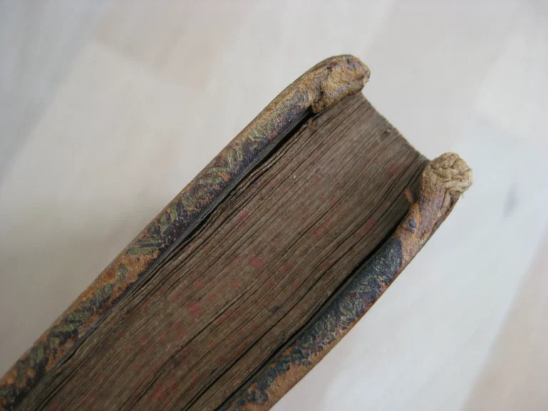 Adeisidaemon sive titus livius a vsuperstitione vindicatus Adeisidaemon sive titus livius a vsuperstitione vindicatus